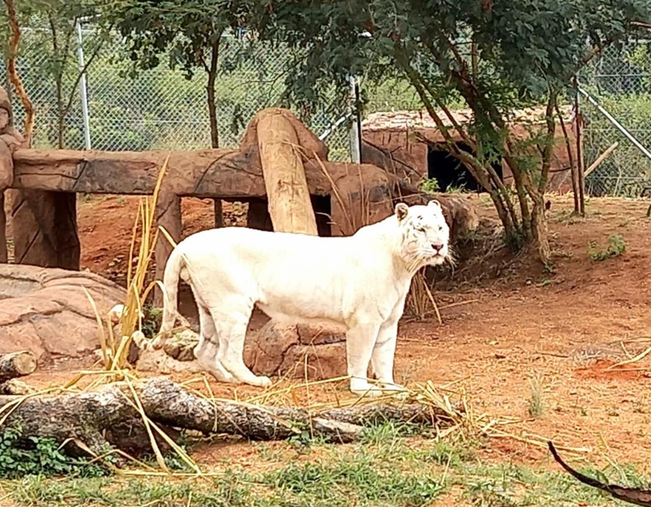 Pumbaa Wildlife Park & Accommodation Mbombela Exterior foto